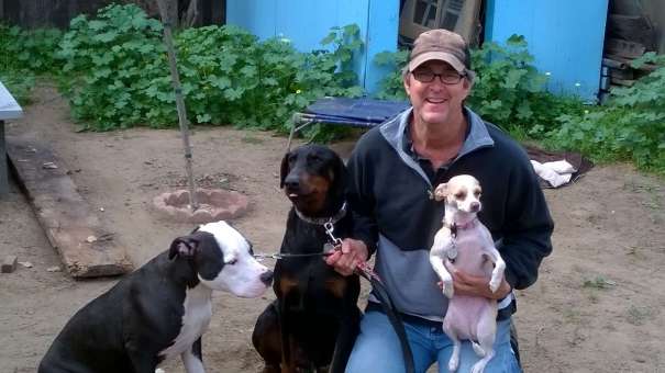 joe-ozier-dog-trainer-behavior-training-fresno-clovis-california-1_5
