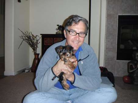 Joe teaches dogs how to behave well in public.