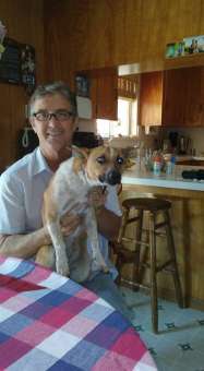 Joe teaches dogs how to behave well in public.