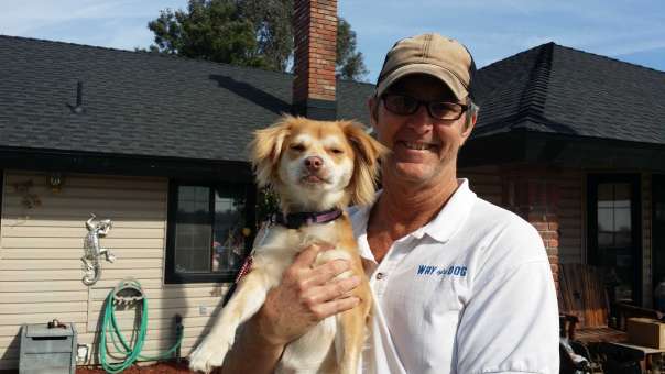 joe-ozier-dog-trainer-behavior-training-walks-fresno-clovis-california-02