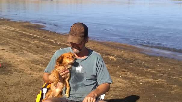 Joe teaches dogs how to behave well in public.