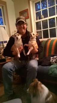 Joe teaches dogs how to behave well in public.