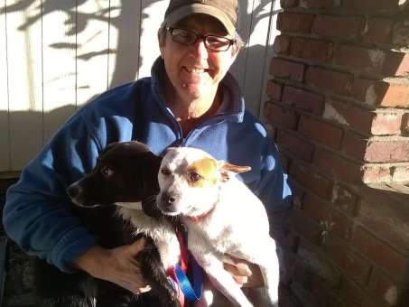 Joe teaches dogs how to behave well in public.