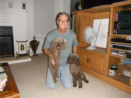 Joe teaches dogs how to behave well in public.