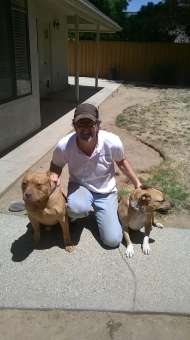 Joe teaches dogs how to behave well in public.