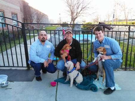 Joe teaches dogs how to behave well in public.