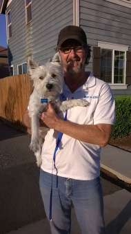 Joe teaches dogs how to behave well in public.