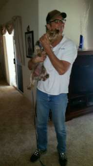 Joe teaches dogs how to behave well in public.