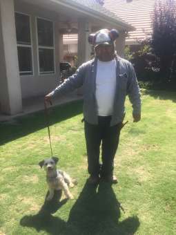 Joe teaches dogs how to behave well in public.