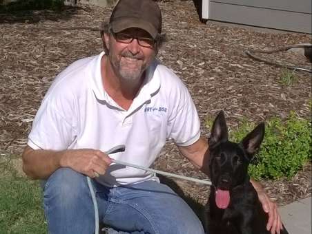 Joe teaches dogs how to behave well in public.