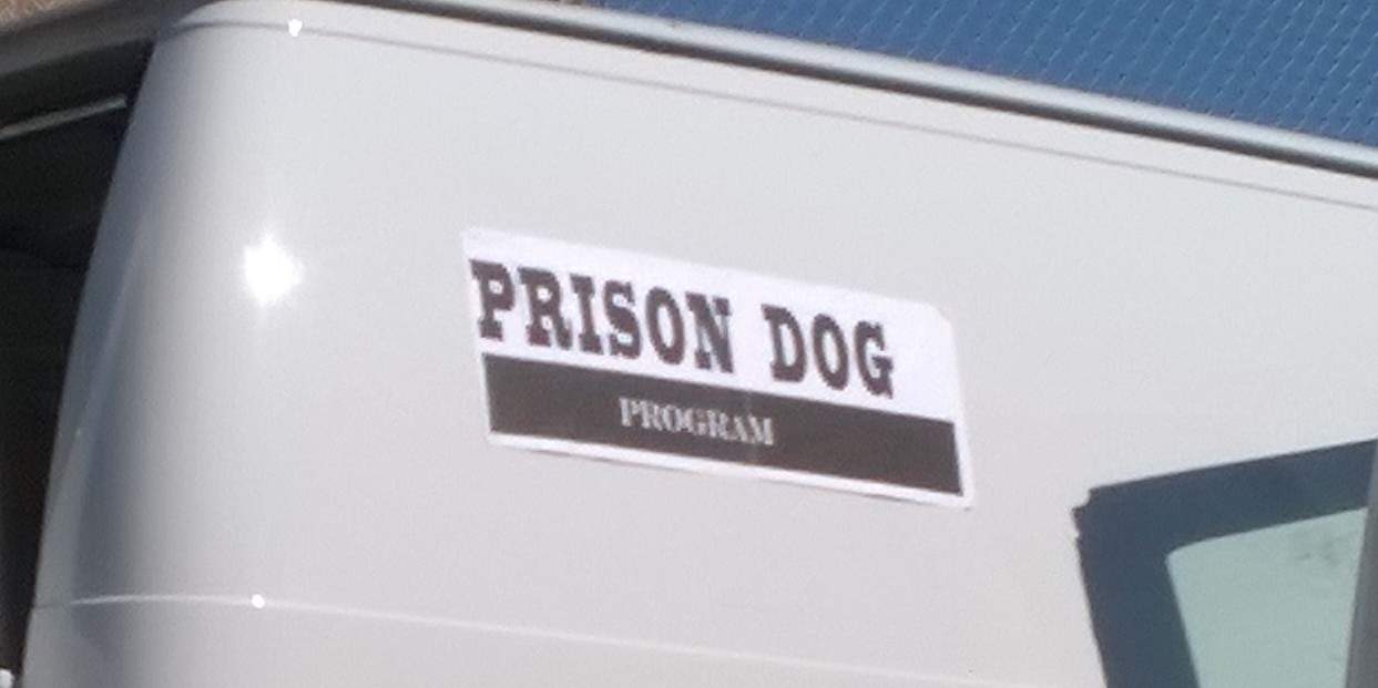 local dog training | Fresno, Clovis, Chowchilla, Madera, Visalia, Tulare, Hanford