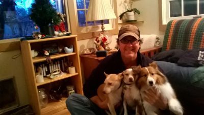 Dog Training | Fresno, Clovis, Chowchilla, Madera, Visalia, Tulare, Hanford